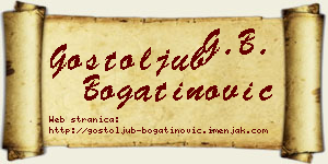 Gostoljub Bogatinović vizit kartica